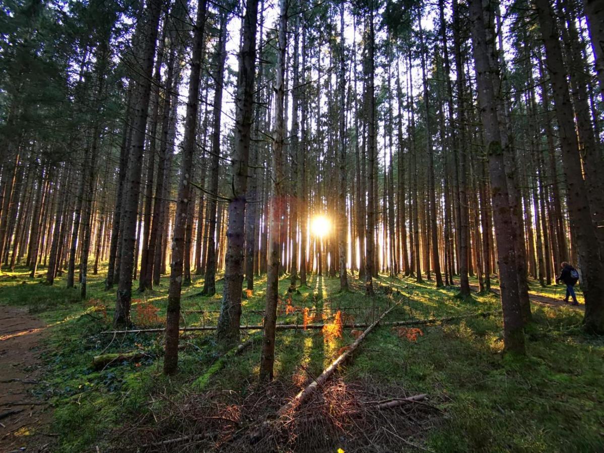 Landhotel Haeuserl Im Wald غوربمينغ المظهر الخارجي الصورة